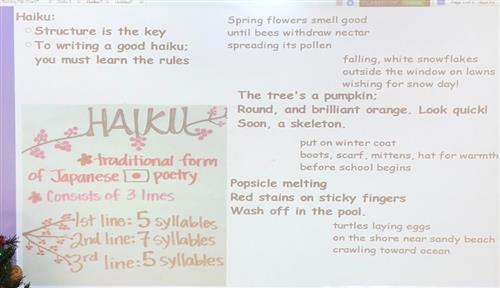 Haiku 